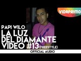 Papi Wilo Freestyle La Luz del diamante video #13