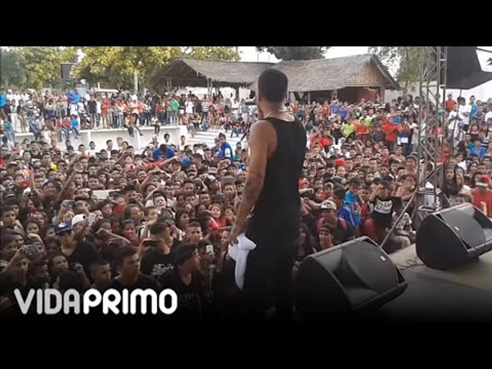 Papi Wilo - "en vivo" Suegra y Amor de la calle