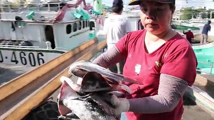 Squales : cette vidéo est une honte pour l’Humanité que nous laisserons à nos enfants !