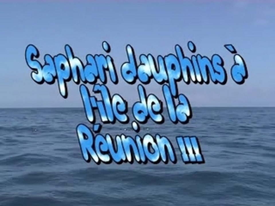 Safari dauphins