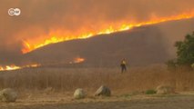 Kaliforniya‘daki orman yangını kontrol edilemiyor