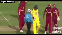 Cricket deadly beamers by bowlers