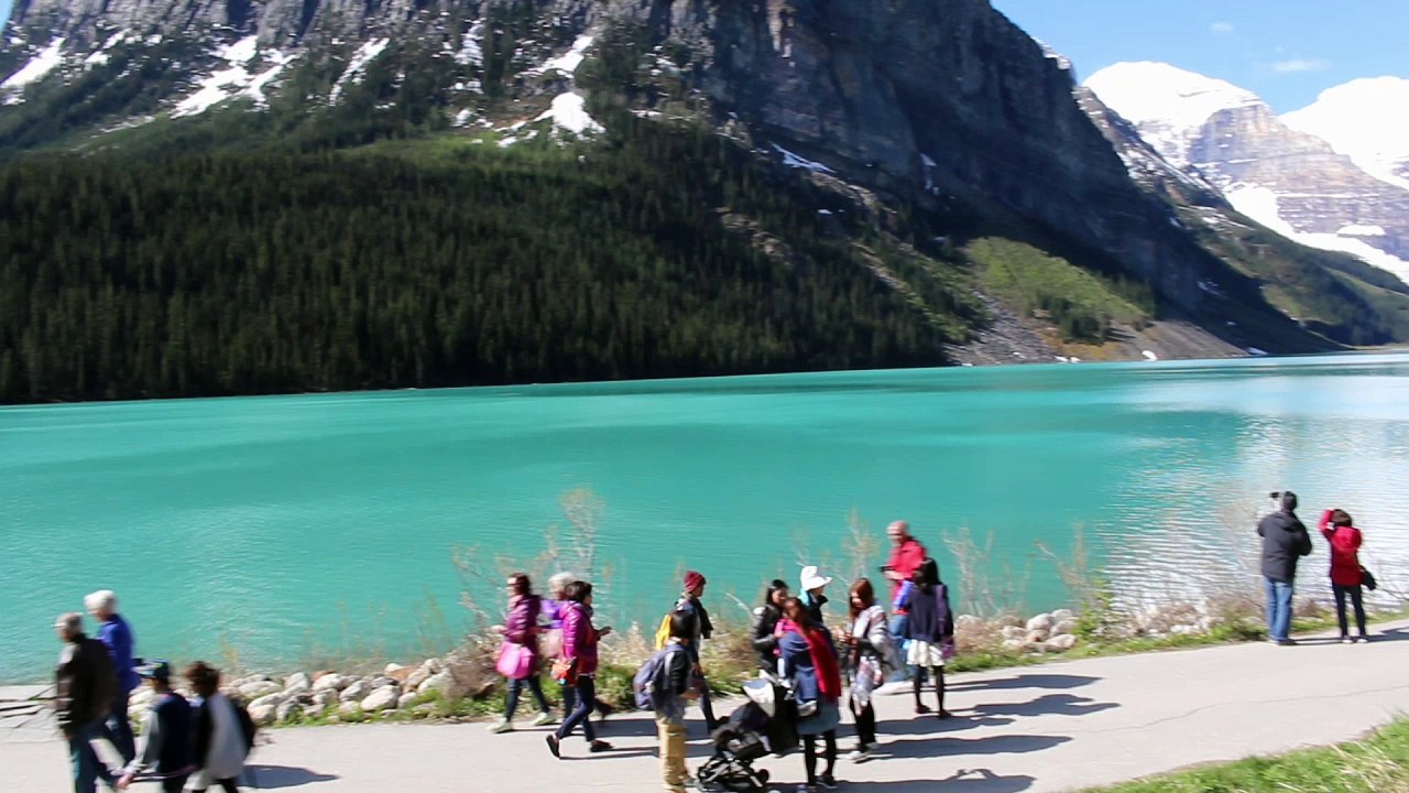 ChrisCat's Canada Roadtrip 2016