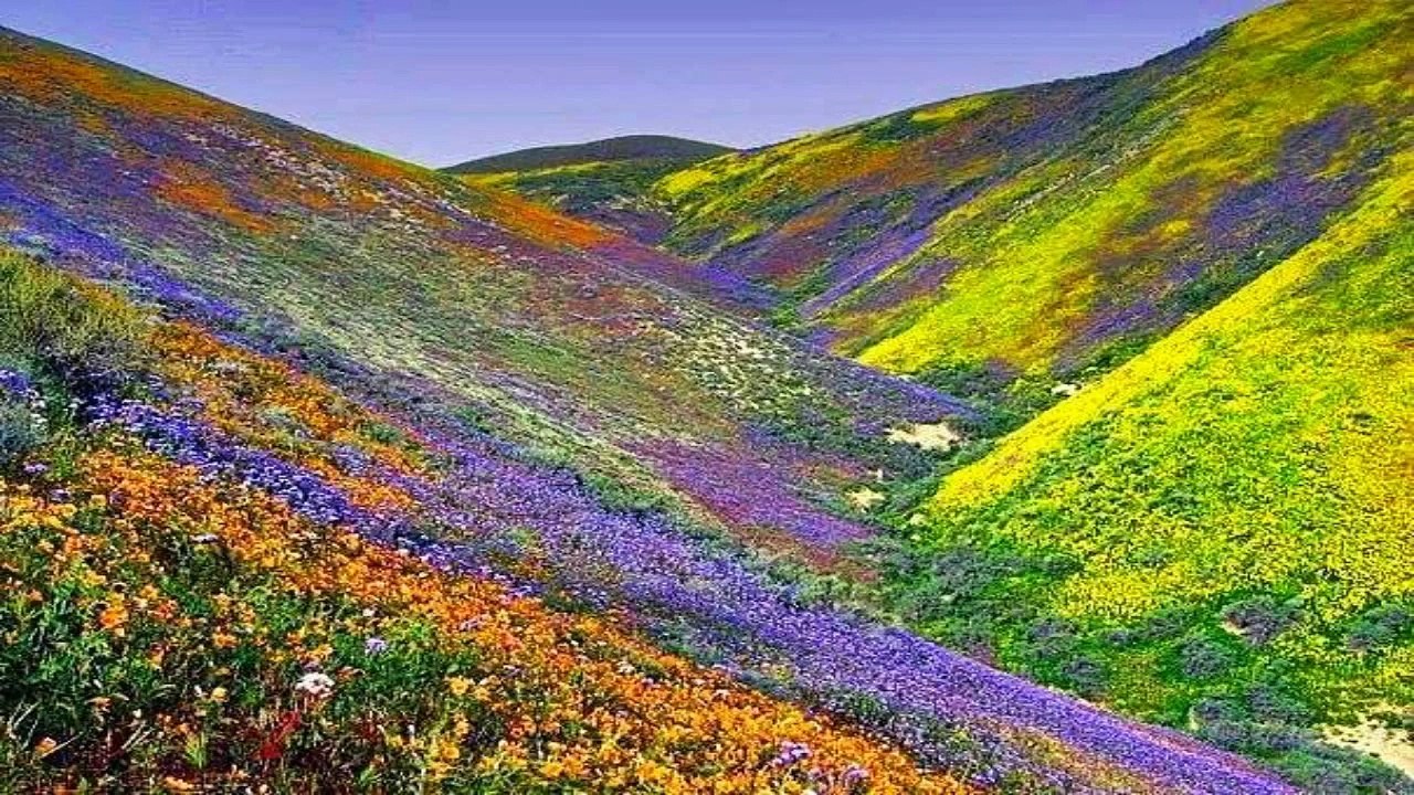 BEAUTIFUL PAKISTAN