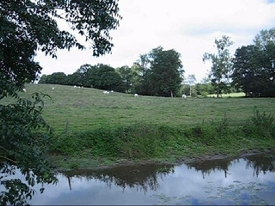 Chasse aux ragondins