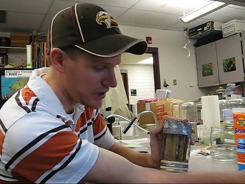 Un tatouage réalisé par des piqures de 1000 puces de lit ! Beurk