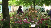 Fête des plantes rares à Lamontjoie