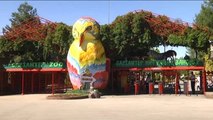 Sıcak Hava Hayvanat Bahçesi Sakinlerini Etkiledi - Gaziantep
