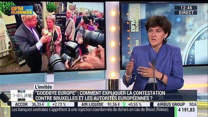 Brexit: "Le camp qui fait campagne pour le maintien n'a pas beaucoup d'arguments positifs à faire valoir", Sylvie Goulard - 17/06