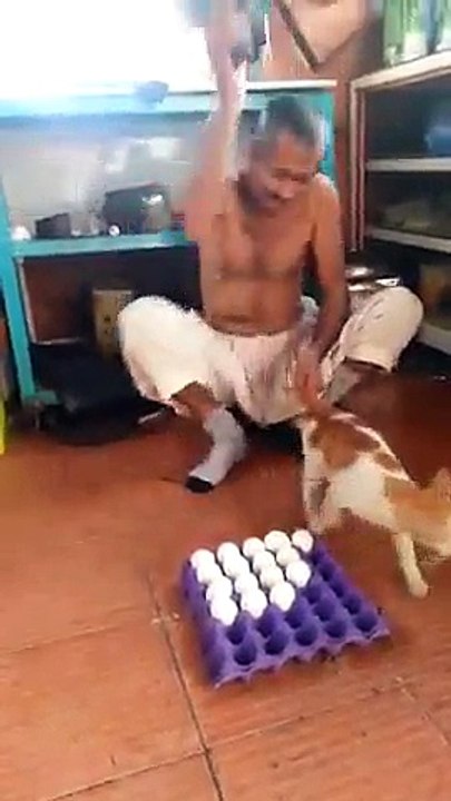 Siyal Funy Clips
