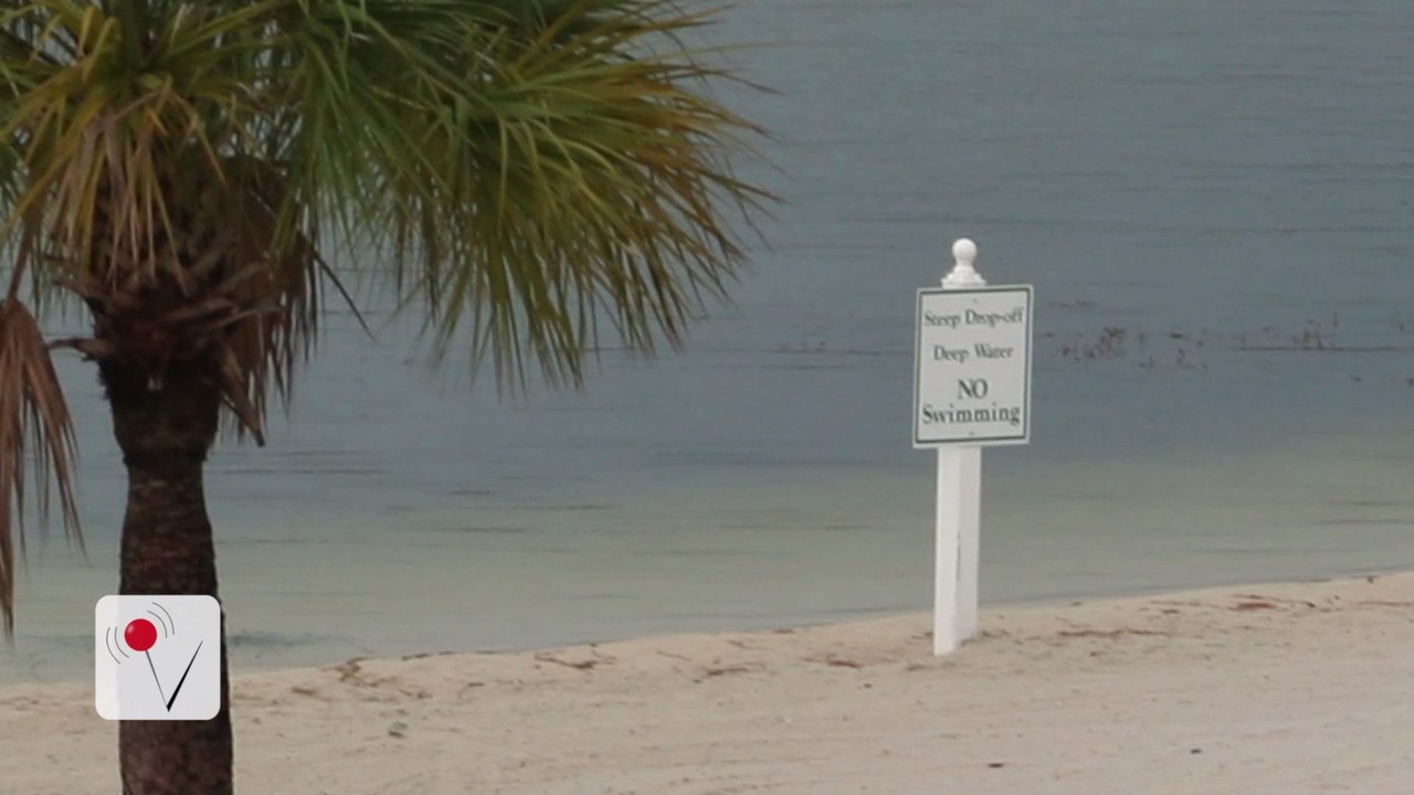 Disney Warned About Alligator Issues Before Toddler's Deadly Attack