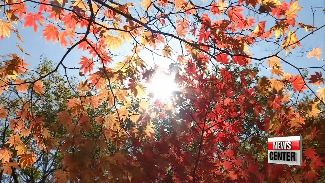 New 4,500km 'Korea Dulle-gil' walking trail spanning entire Korean coast announced