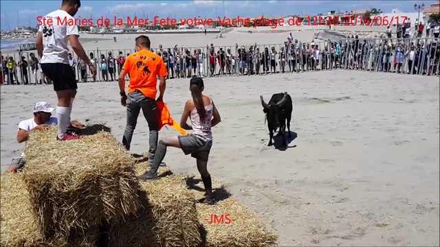 Ste Maries de la Mer-Fete votive-Vache plage de 12h30-2016/06/17