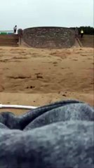 Quand tu te fais chourer ton téléphone par une mouette !
