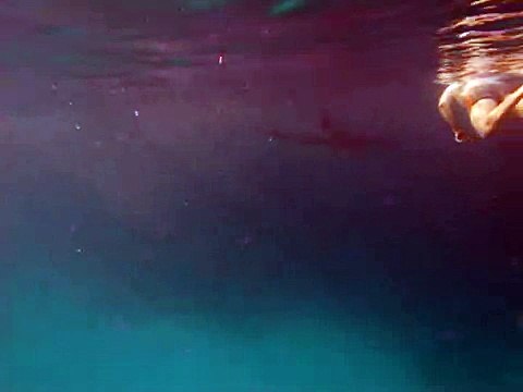 Vörös tenger 2011.03.13 - 2011.03.20. Delfin IV.