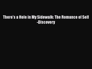 Read Books There's a Hole in My Sidewalk: The Romance of Self-Discovery E-Book Download