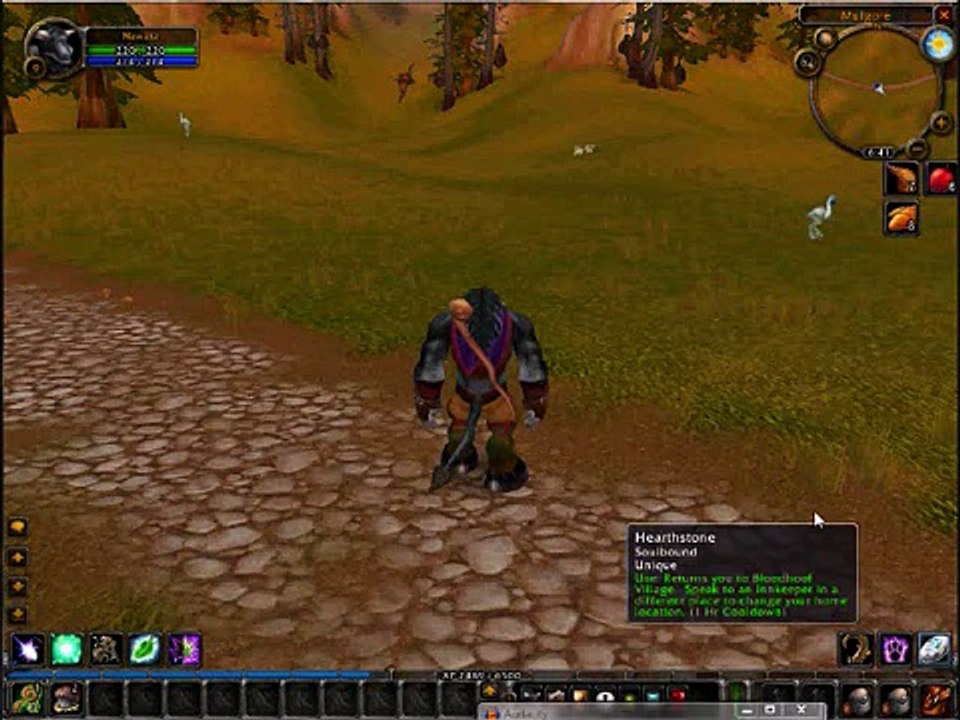 WOW Tauren Druid - part 19