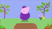 [YTP] Grandpa Pig blows up a 4 year old