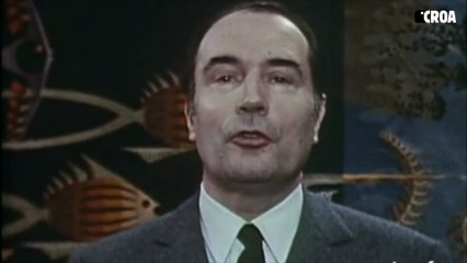 Quand François Mitterrand condamnait l'hystérie anti-casseurs du gouvernement