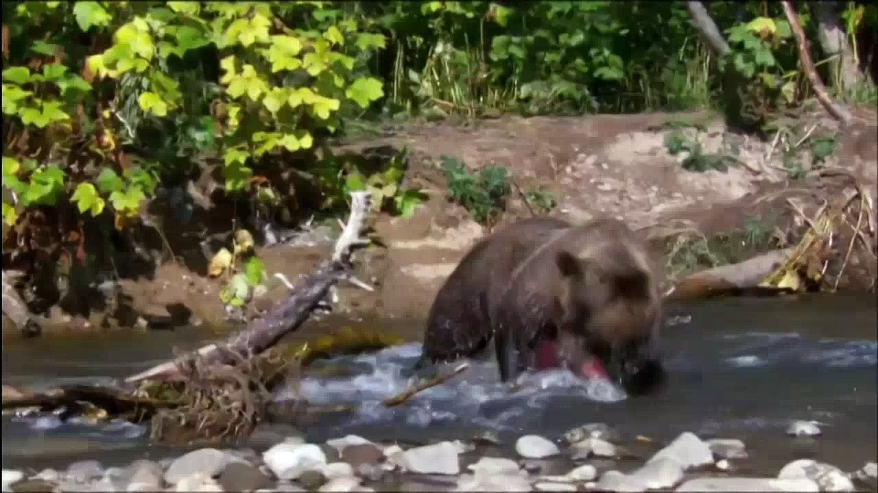 Wild.Russia.04-cut