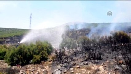 Kopan Elektrik Kablosu, 10 Dönüm Alanı Kül Etti