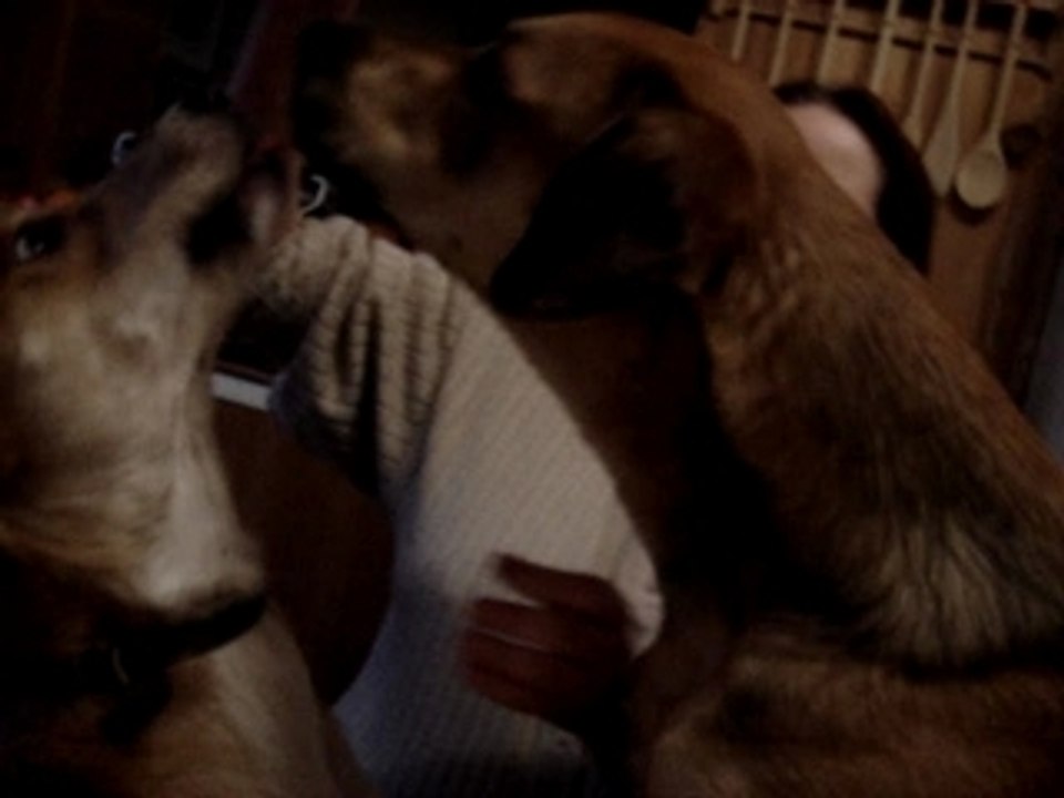 Nina et sultan2