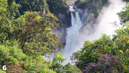 Top 7 UNSOLVED Jungle Mysteries