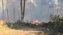 Belek Turizm Bölgesinde Orman Yangını Çıktı 2-