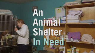 The Only No-Kill Animal Shelter In The Bronx May Close