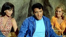 Elvis Presley - THERE'S GOLD IN THE MOUNTAINS