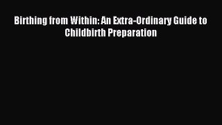 Download Birthing from Within: An Extra-Ordinary Guide to Childbirth Preparation PDF Free