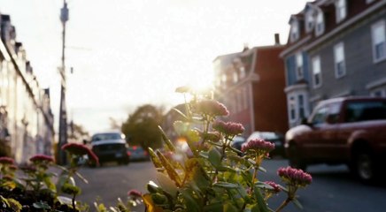 Closet Monster - Trailer