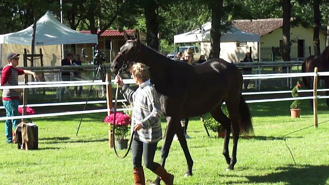 eau gazeuse concours M&A Paray le monial 2ans AQPS
