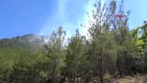 Gazipaşa'da Orman Yangını Korkuttu