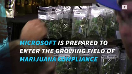 Microsoft ventures into the marijuana business