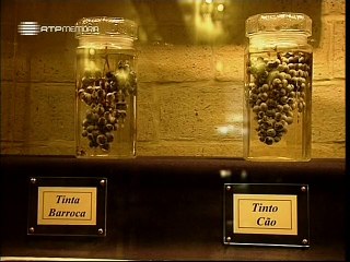VILA NOVA DE GAIA | VISITA AS CAVES DO VINHO DO PORTO!