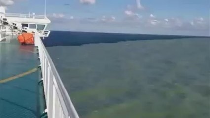 Mashallah! Allah is great!