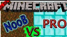 NOOB VS PRO (MINECRAFT)