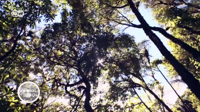 Perú: protección del oso andino | Global 3000