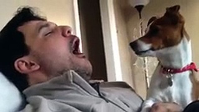 Dono ronca e assusta seu cachorro. - Cute dog scared by loud snoring
