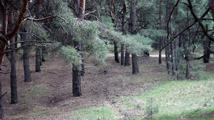 Helios 44-2 manual lens test - 3