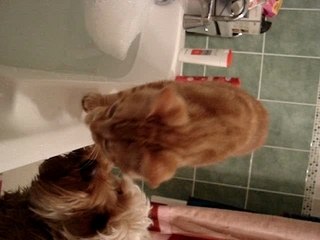 j'aime l'eau et alors?!!!!