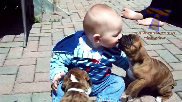 Funny babies annoying dogs - Cute dog & baby compilation