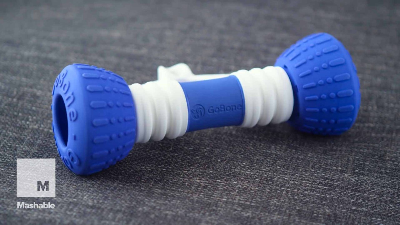 This smart bone will keep dogs playing for hours