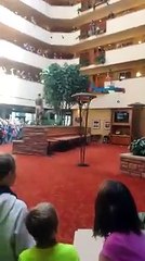 G.I. Joe Convention 2016 - Freefall Parachute drop