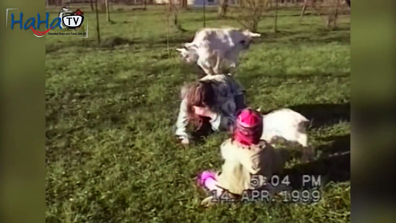 Funny Animals Videos : Animal Fail Compilation 2012
