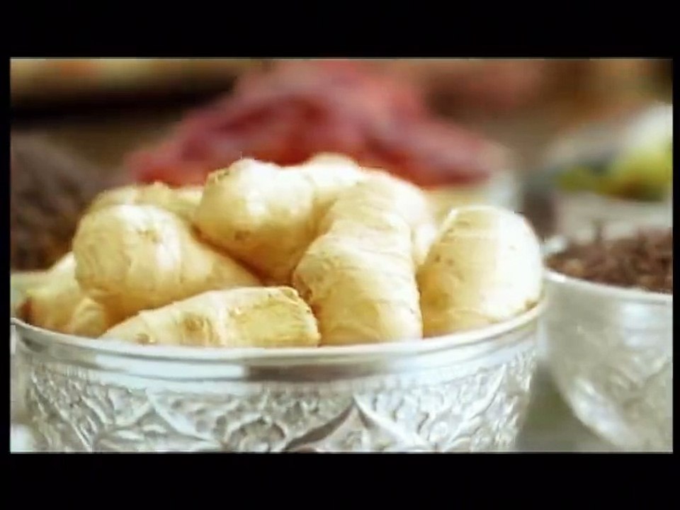 Habib Chaat Masala TVC 2016