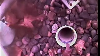 16625 SW Palermo Ln Sewer Scope Video Inspection, Black Rock Underground