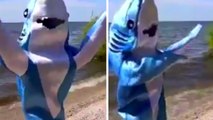 Dancing Shark-ira Shark Takes Over Twitter