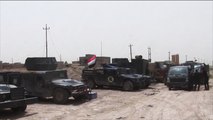 القوات الأمنية العراقية تسيطر على معظم أحياء الفلوجة
